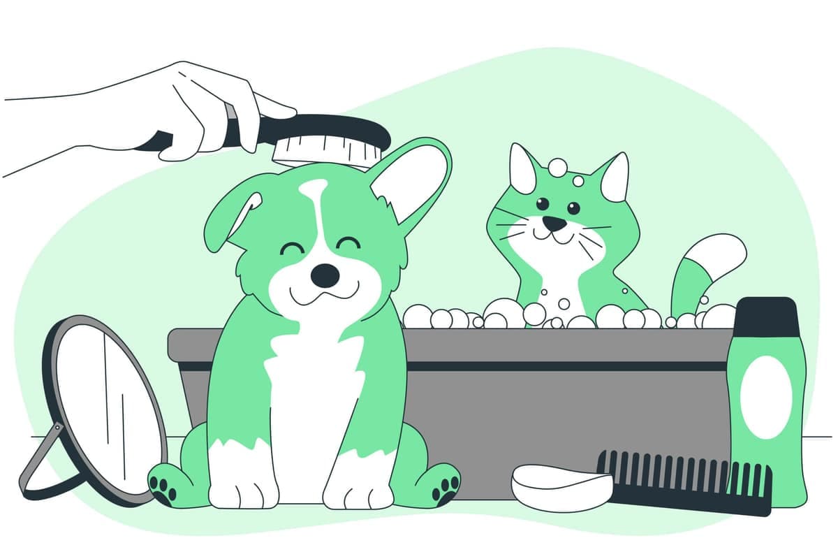 Tudo o que Você Precisa Saber Sobre a Higiene do Seu Pet: Cuidados Essenciais para Garantir a Saúde e o Bem-estar do Seu Amigo