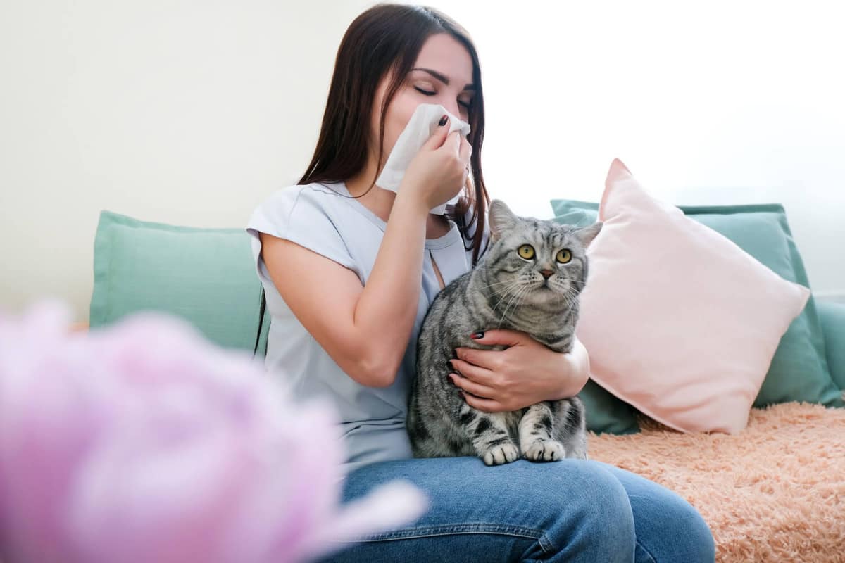 Alergias a Animais: Como Identificar e Tratar