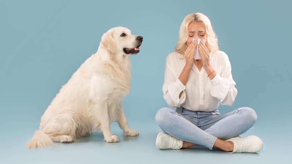 Tratamento para Alergia a Cachorro: O que Você Precisa Saber