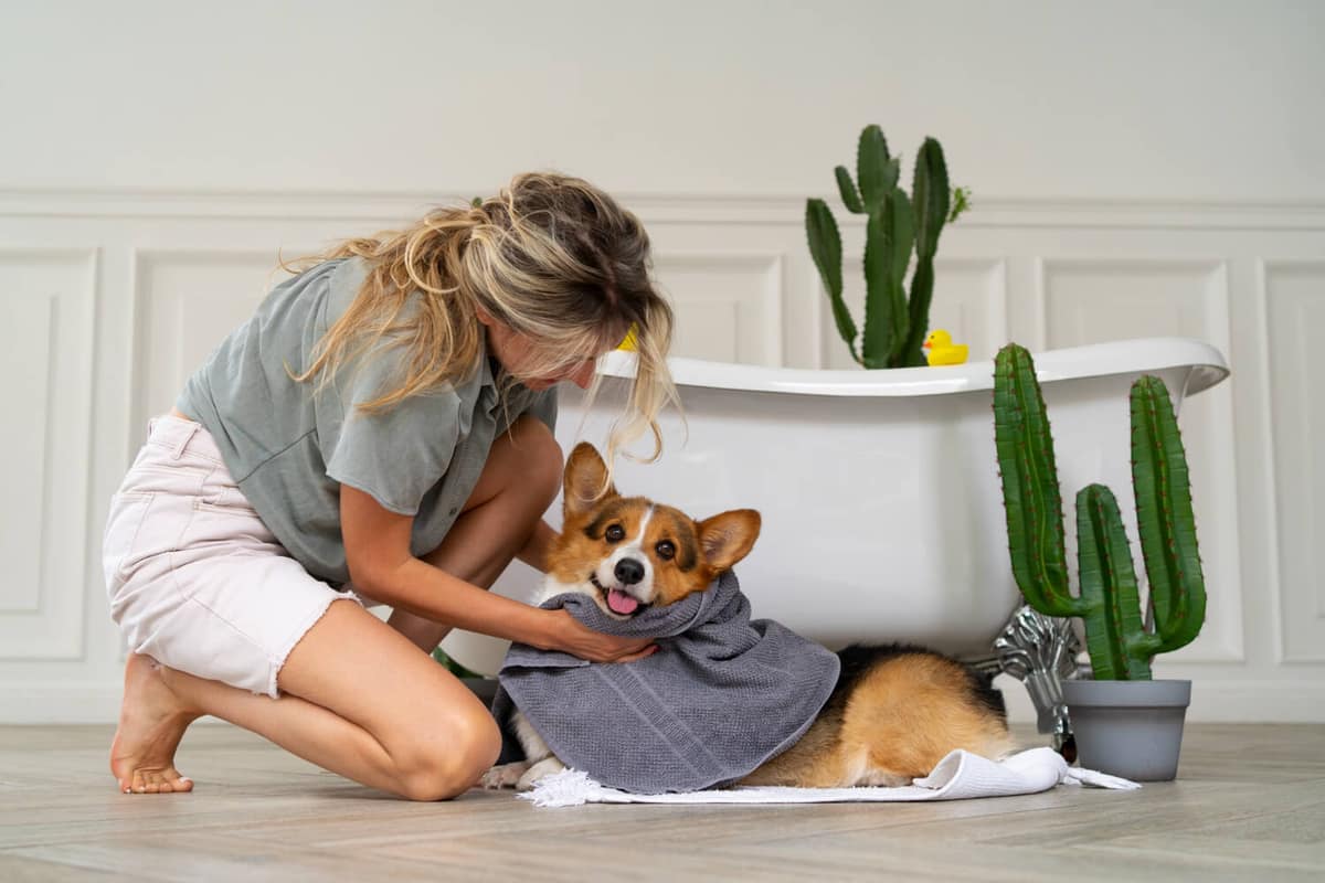 Prevenindo Alergias através da Higiene Regular do Pet