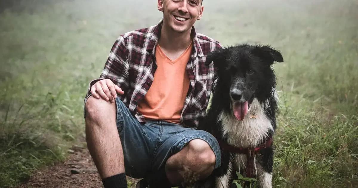 Cuidados com a Pele do Seu Cachorro: Prevenção de Dermatites