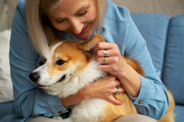 Dermatite em Pets: Tudo Sobre o Problema e Como Cuidar do Seu Animal