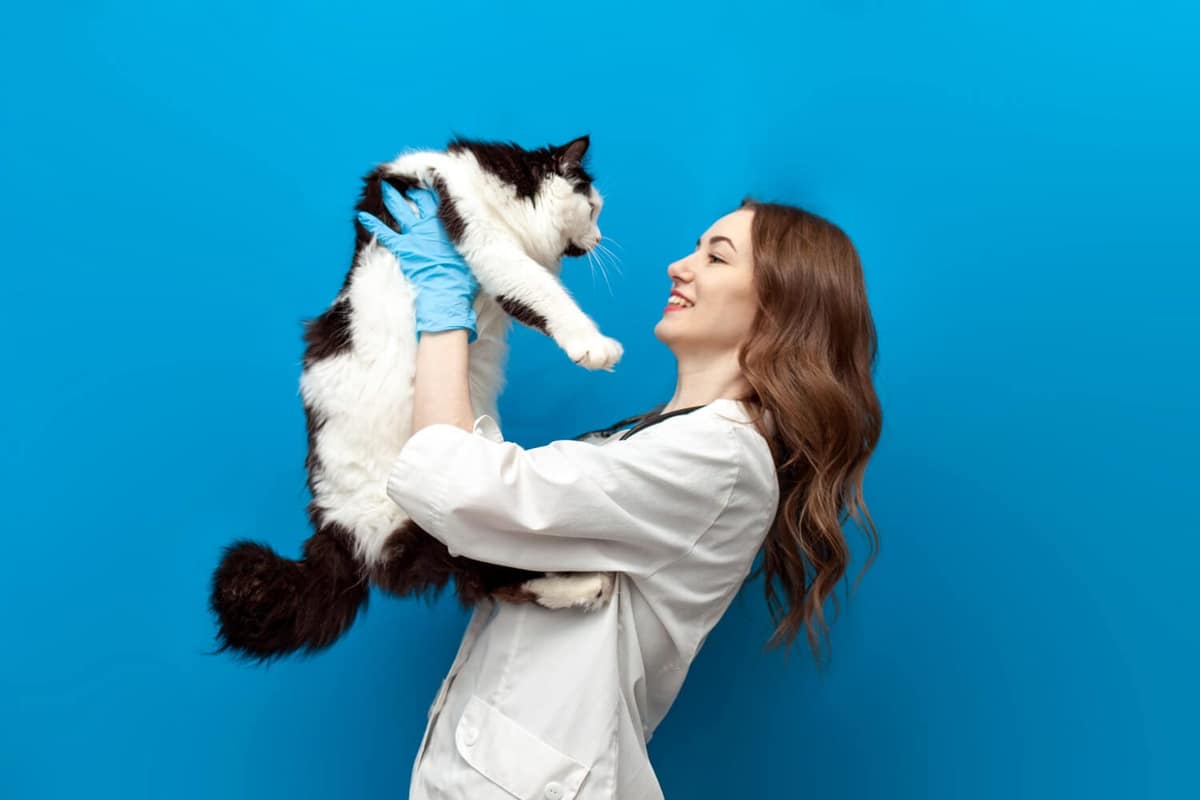 Entenda os Sintomas que Exigem um Dermatologista Veterinário