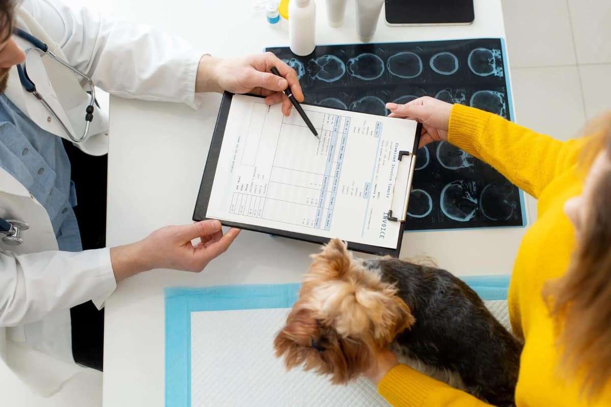 Genética e Saúde da Pele: Como a Hereditariedade Afeta Doenças Dermatológicas em Cães e Gatos