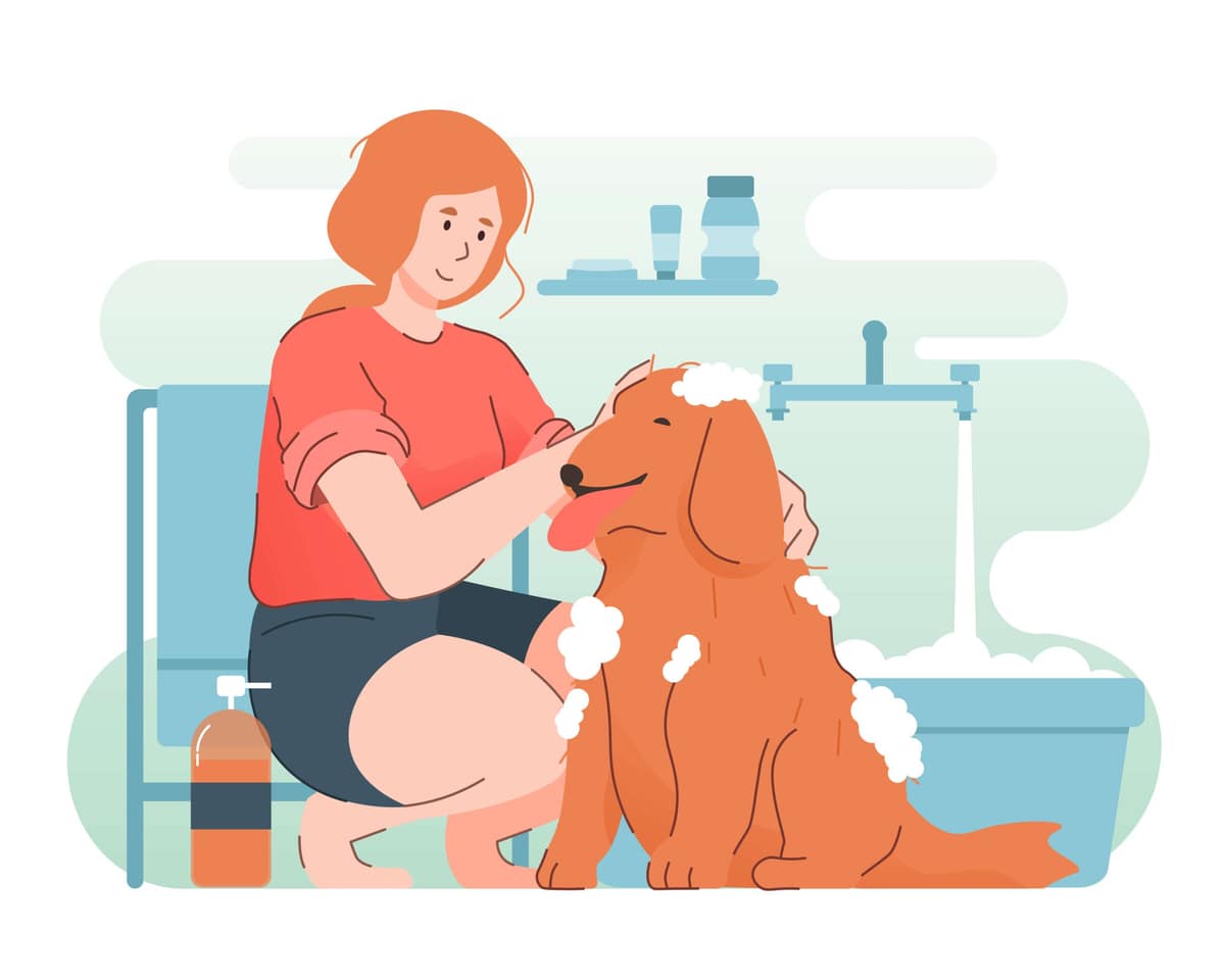 Como Melhorar os Hábitos Higiênicos do Seu Pet com Simples Mudanças