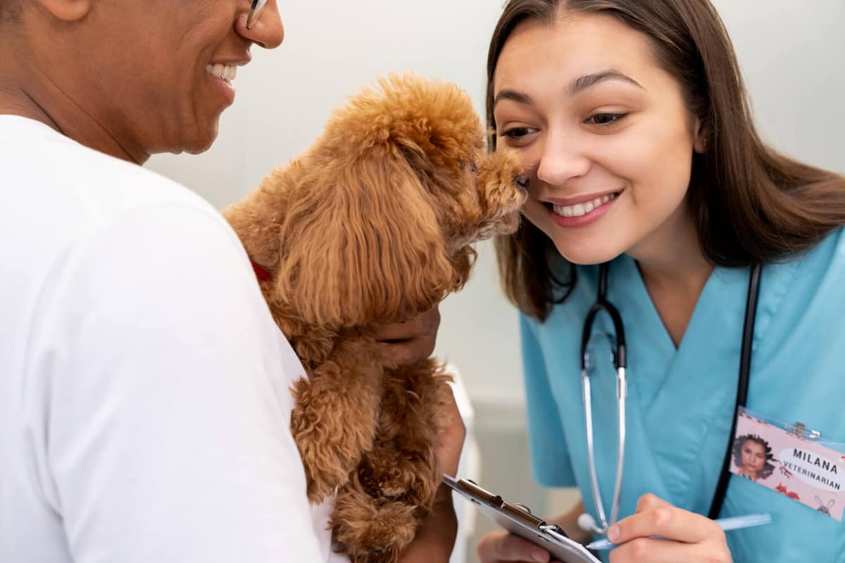 Imunoterapia Alérgica em Cães: Quem Pode Fazer e Quando Ela é Indicada