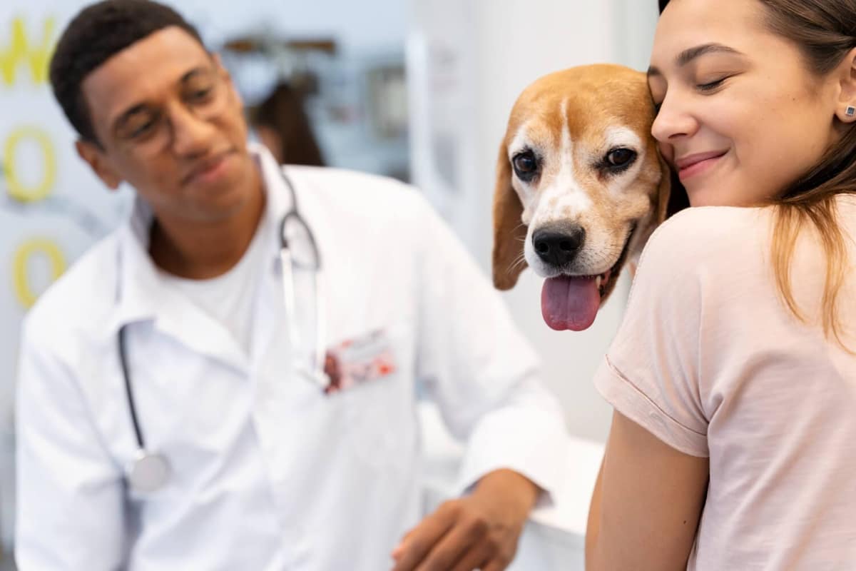 Imunoterapia para Cães com Alergias: Guia Completo Sobre Funcionamento, Benefícios e Resultados Reais