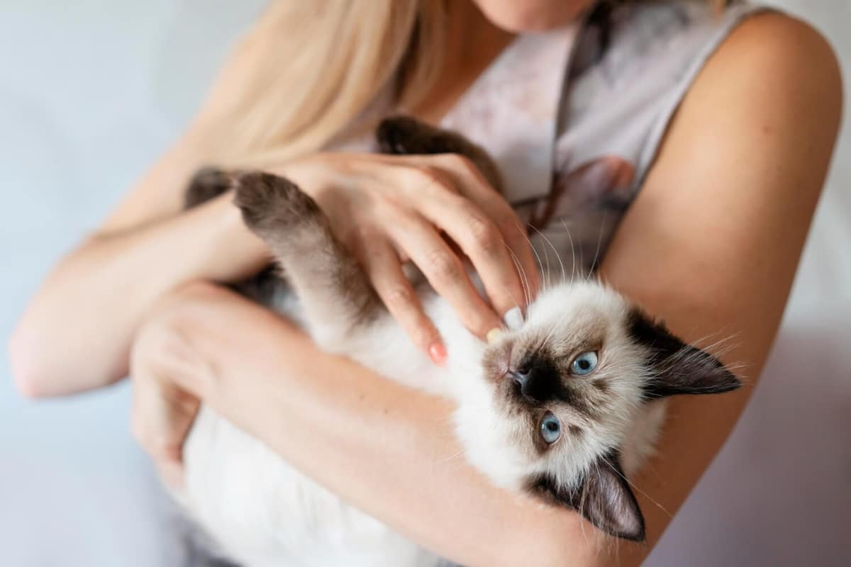 Manejo Integrado para Controle de Pulgas e Prevenção de Dermatites em Cães e Gatos