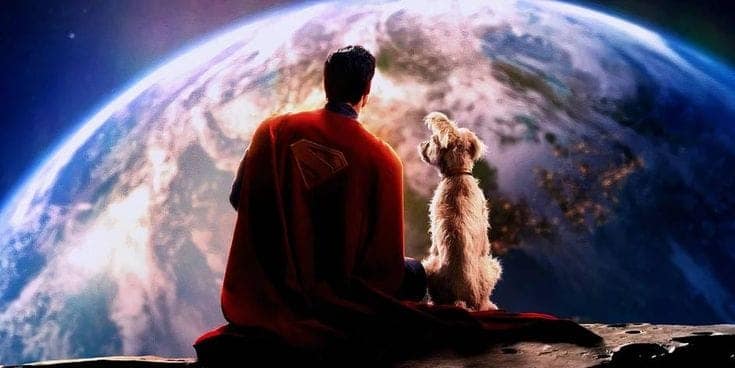 O Efeito Krypto: Como um Cachorro de Filme Aumentou as Adoções em 513% — e o Alerta dos Especialistas para a Saúde dos Pets
