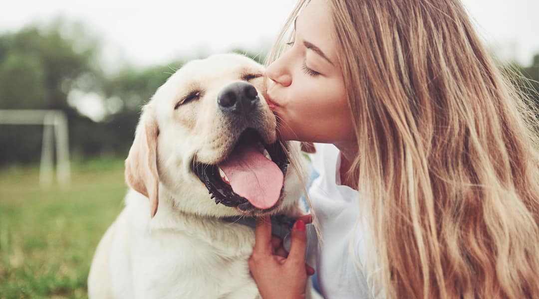 Quais exames devem ser feitos para que meu pet viva mais, e com mais saúde?
