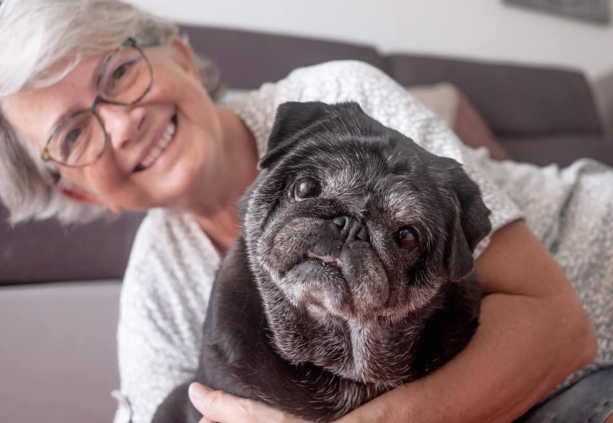 Queda de Pelo em Cães Idosos: Causas, Cuidados e Prevenção