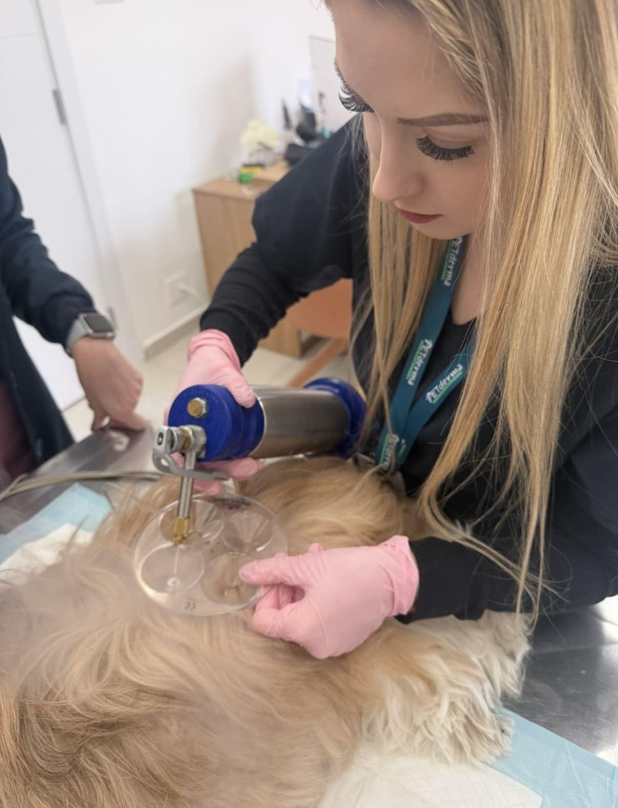 Equipe PetDerma — Dermatologia Veterinária