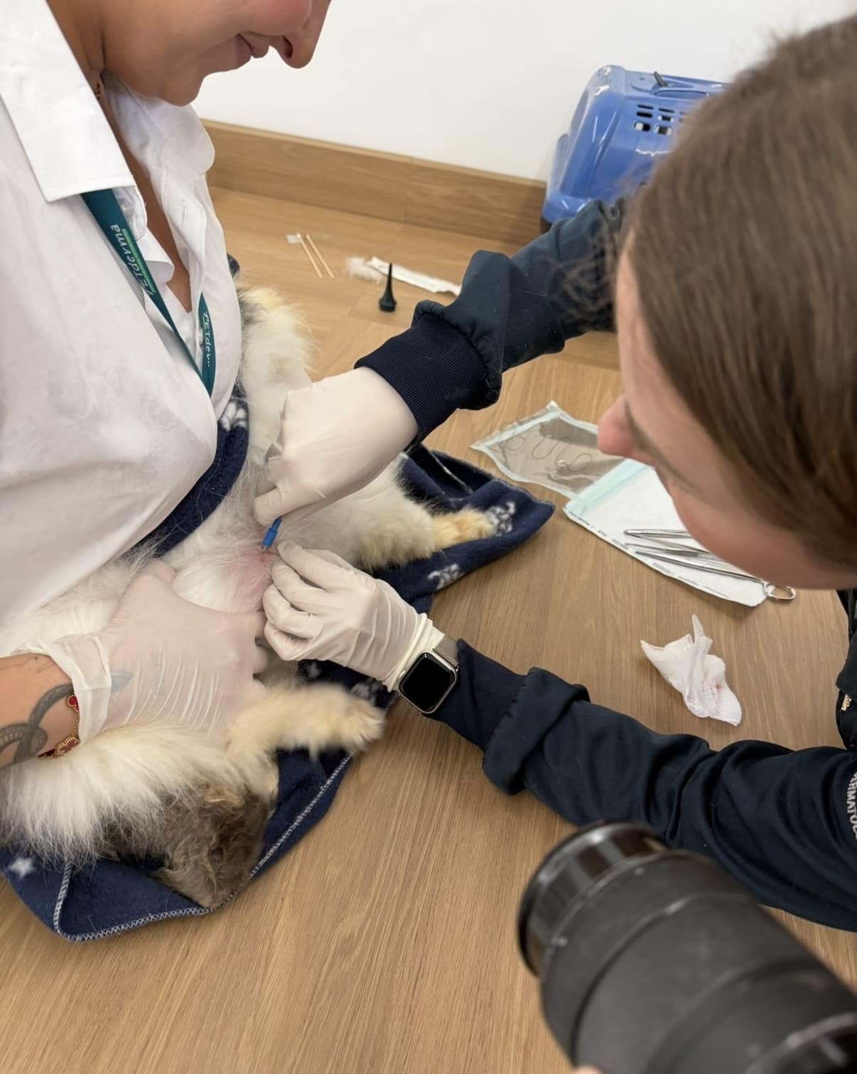 Cuidado com o pet